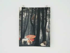 https://www.huberhuber.com/files/gimgs/th-157_157_gardenofforkingimg7104.jpg