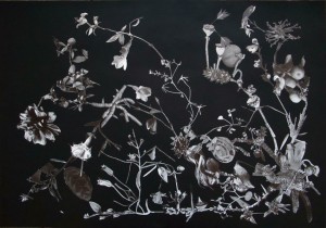 https://www.huberhuber.com/files/gimgs/th-195_195_vanitas---tote-blumendas-wunder-der-pflanze.jpg