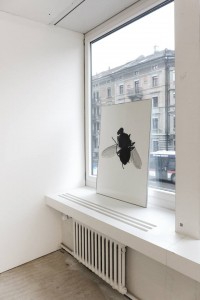https://www.huberhuber.com/files/gimgs/th-270_270_huberhuberla4.jpg