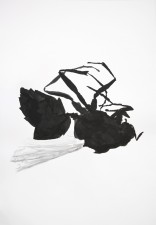 https://www.huberhuber.com/files/gimgs/th-29_29_lebensraum-atelierwespe-ii.jpg